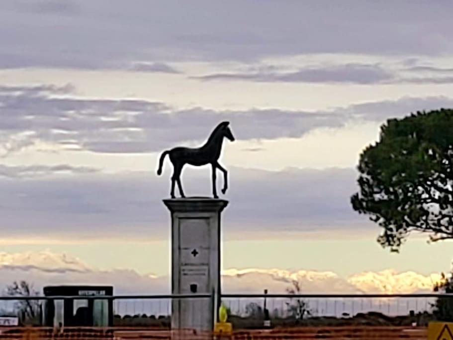 Appartamento Con Vista A Cavallino Venezia Eksteriør bilde