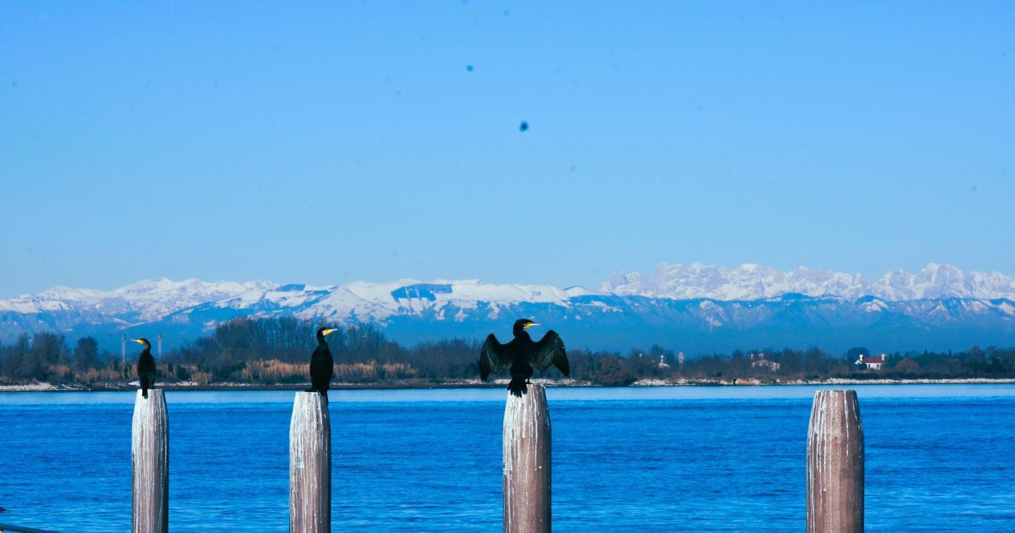 Appartamento Con Vista A Cavallino Venezia Eksteriør bilde